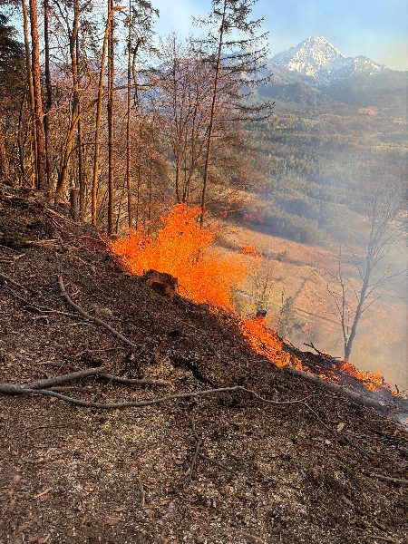 Waldbrand am Tabor – Hauptfeuerwache Villach im Großeinsatz (Bild 4)